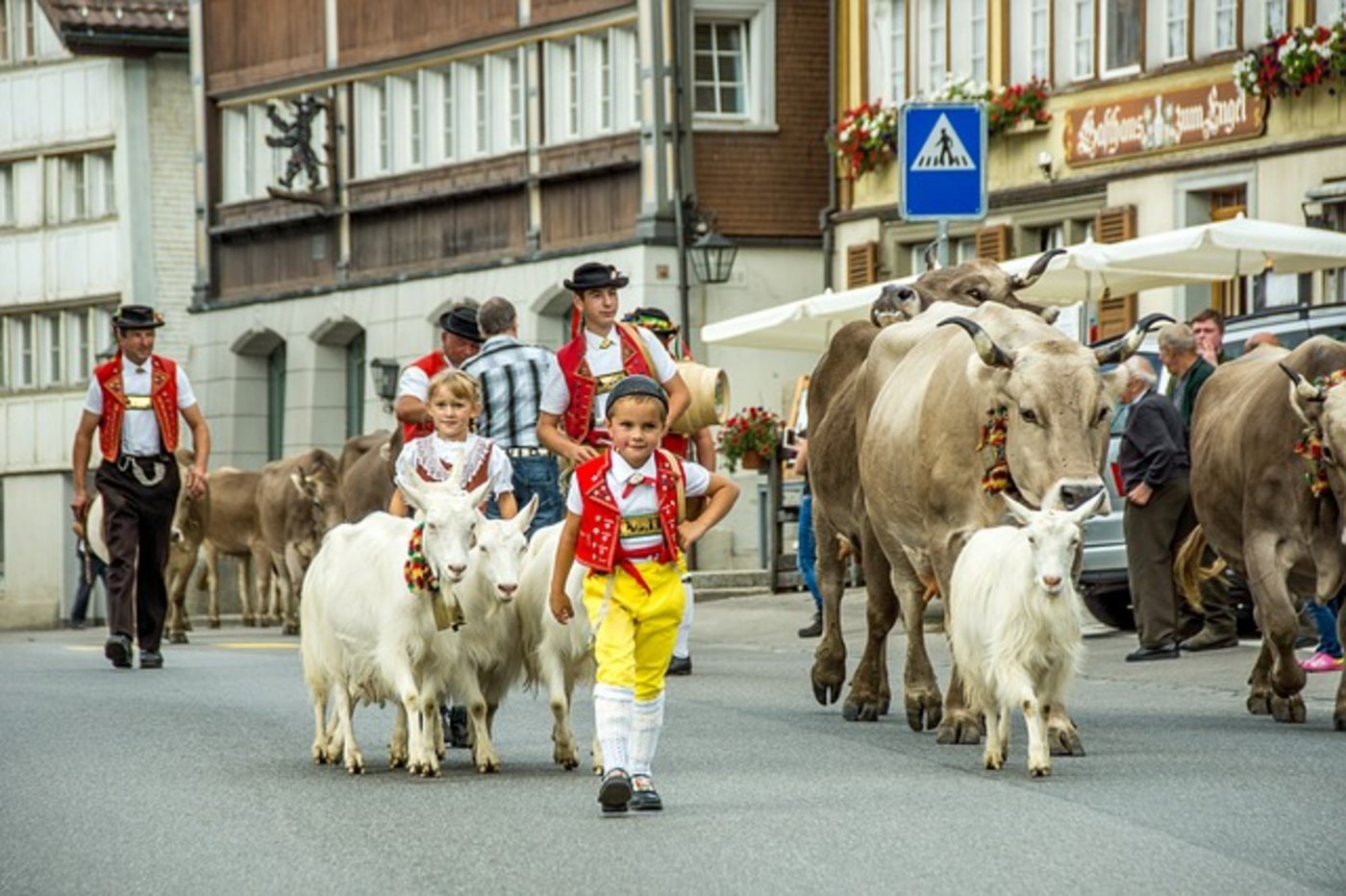 Die Idylle trügt: Die Schweizer Landwirtschaft fürchtet neue Freihandelsabkommen. (Bild Pixabay)