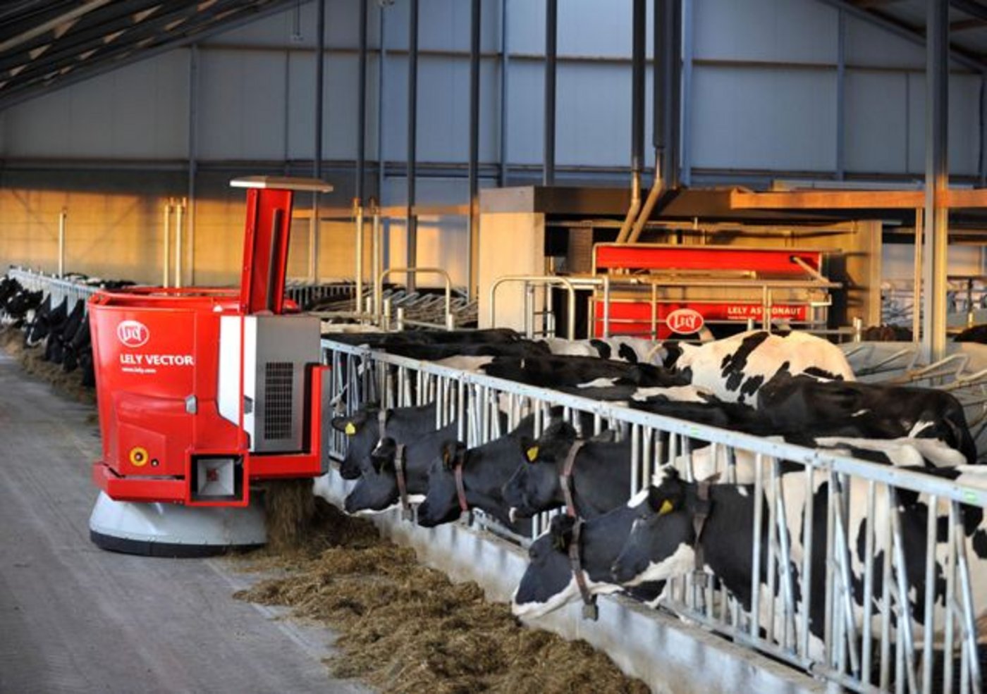 Ein Lely-Fütterungsroboter bei der Arbeit. (Bild Lely)