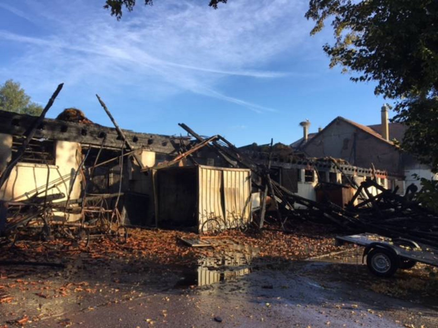 Der vom Brand zerstörte Pferdestall. (Bild Kapo VD)