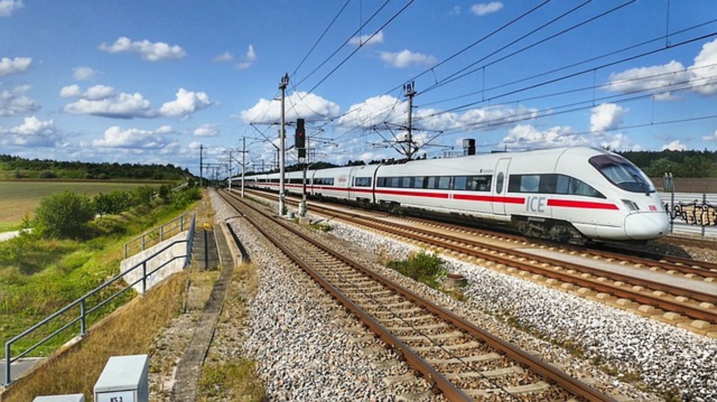 Beim Unfall in Mecklenburg-Vorpommern kamen mehr als 60 Schafe um. (Symbolbild Pixabay)