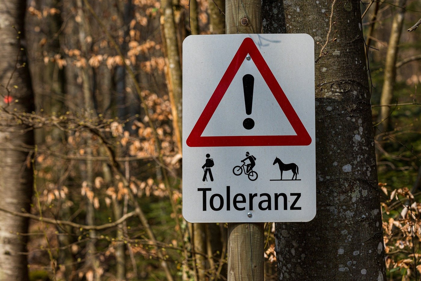Um Konflikte zu verhindern, sollen Waldbsucher den Wald-Knigge beachten und respektvoll mit der Natur umgehen. (Bild pixabay)