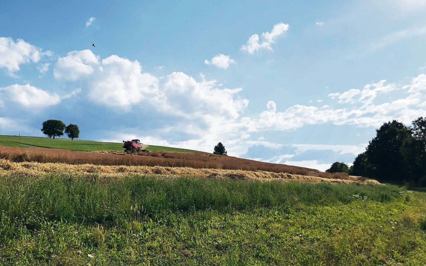 Konservative, grüne und liberale Kräfte haben verschiedene Vorstellungen davon, wie die Landwirtschaft künftig aussehen soll. Diese Entwicklung geschieht aber immer im Schatten der politischen und wirtschaftlichen Rahmenbedingungen.
