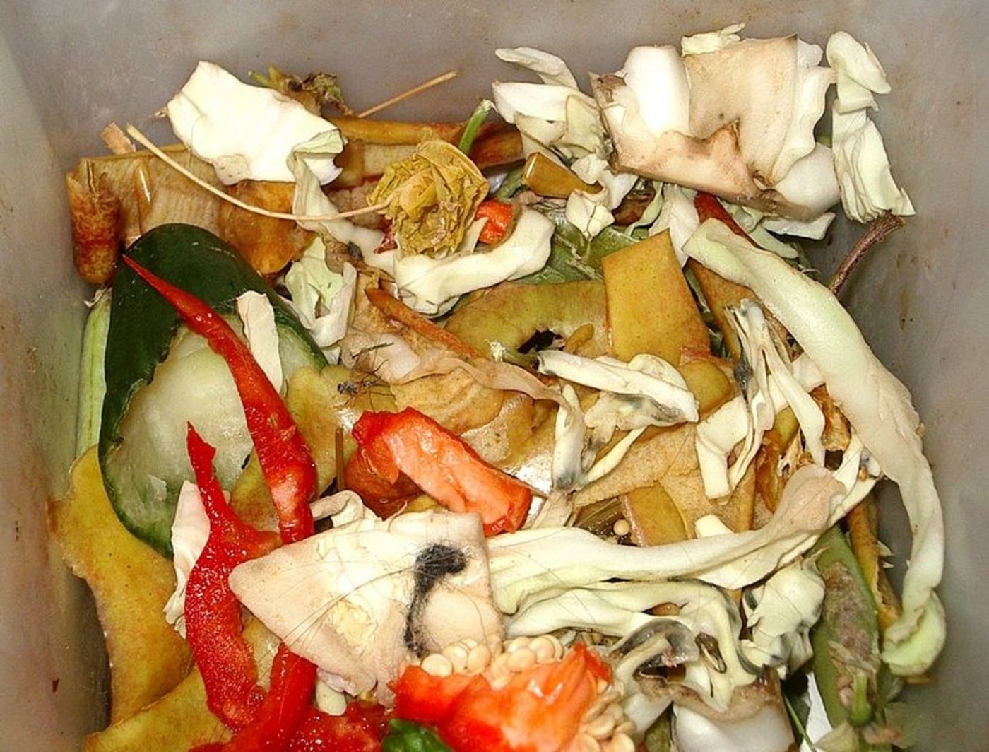 Lebensmittelverschwendung verursacht Kosten in der Höhe von etwa 4 Prozent des globalen Bruttosozialprodukts, so das Forschungsinstitut für biologischen Landbau (FiBL). (Bild: Muu-Karhu)