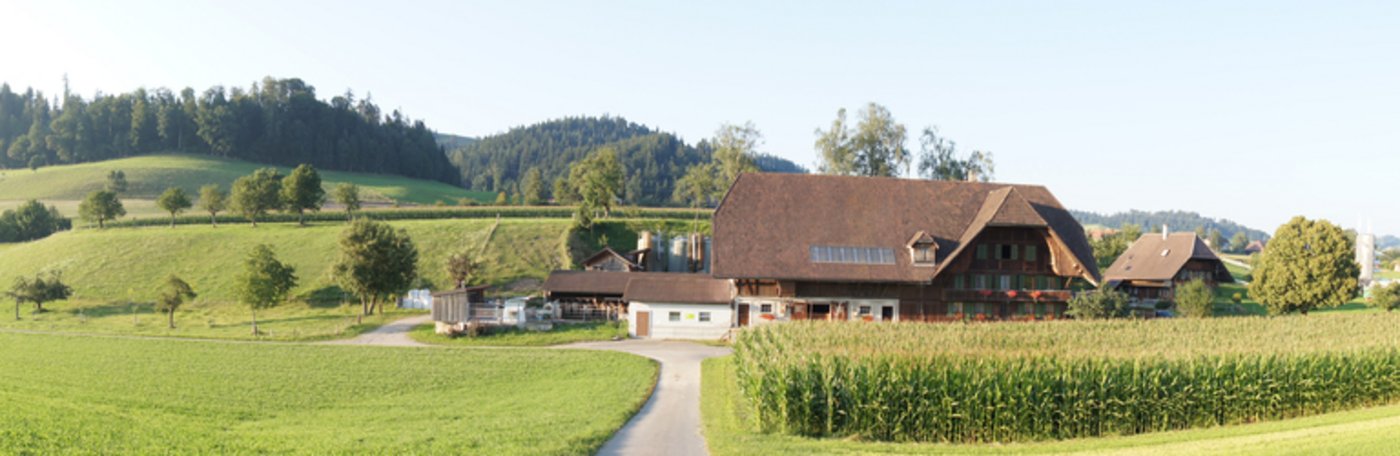 (Bild lid)
