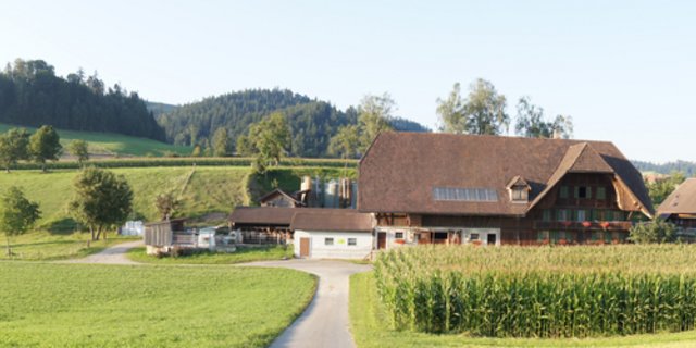 (Bild lid)