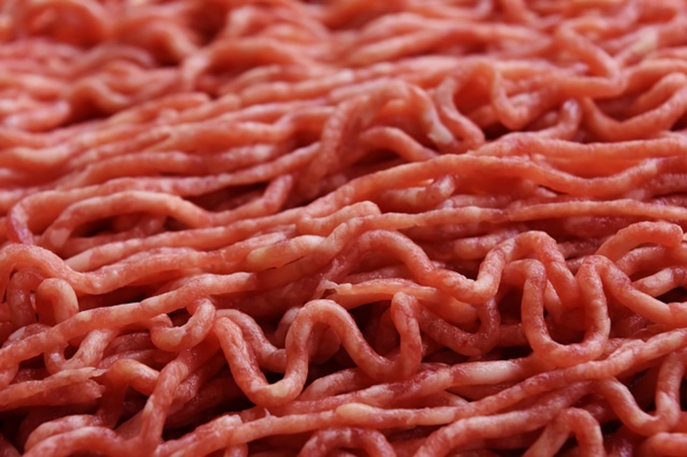 Die Veterinärverwaltung entdeckte bei einer 700 kg-Charge in Mittelböhmen Salmonellen. (Bild pixabay)