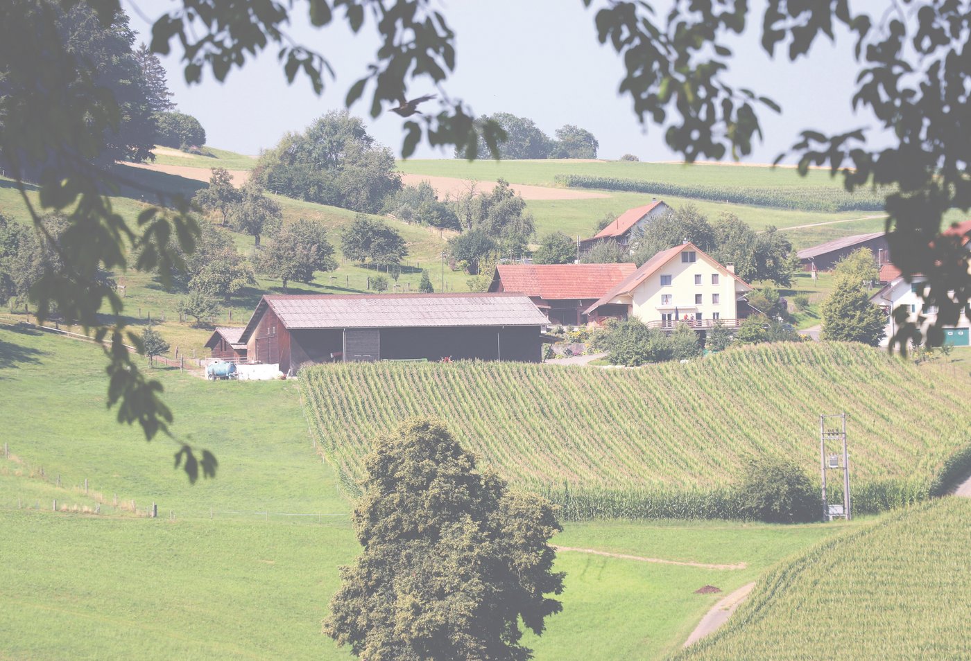 Der Betrieb von Familie Goldenberger in Schmiedrued: Die Gemeinde wirbt «mit verträumten Winkeln und Höfen» für sich.