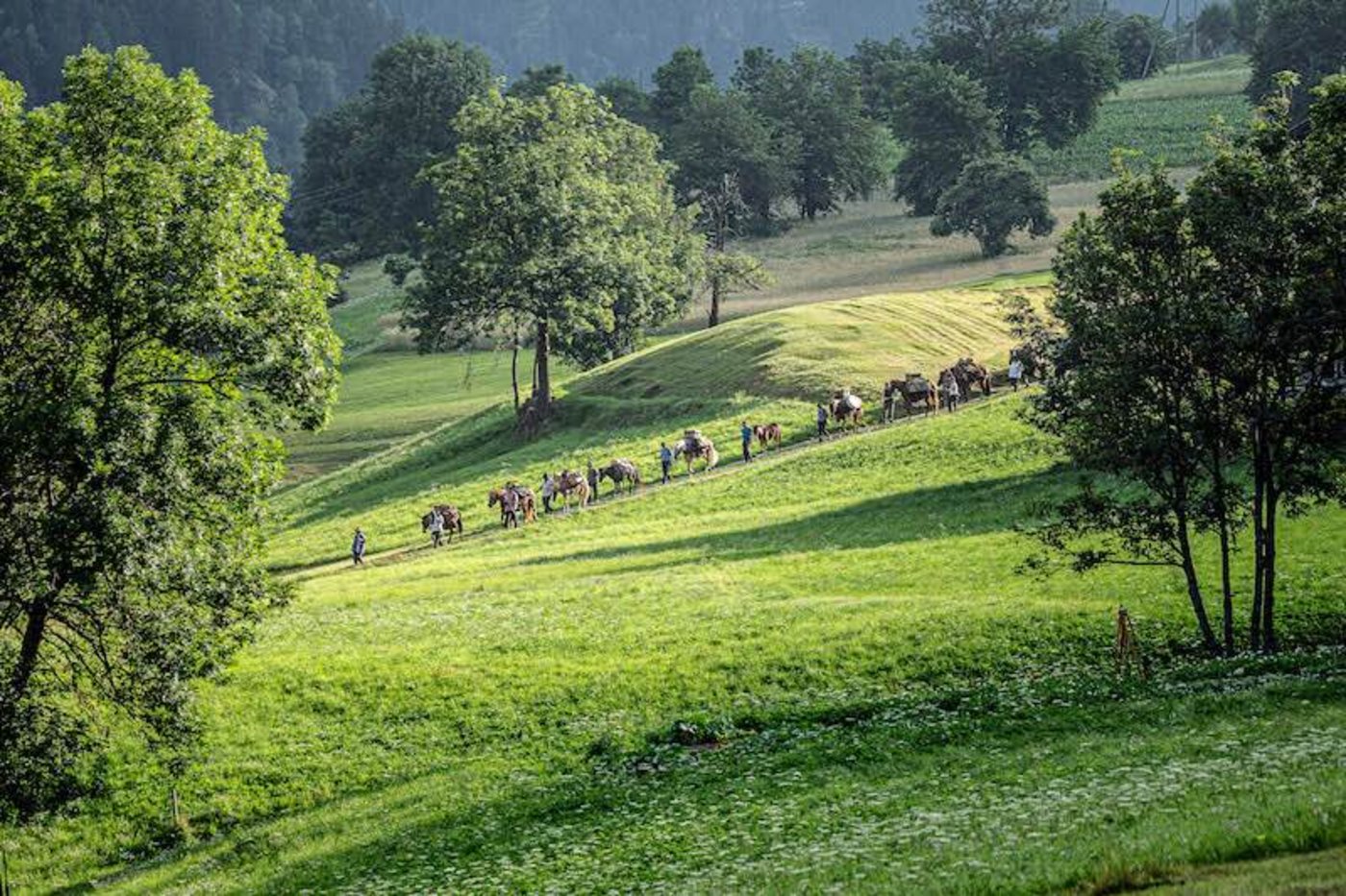 Säumergruppe unterwegs: 103 Kilometer legte die Gruppe während der sechs Tagesetappen von Graubünden über Uri und Wallis nach Vevey zurück. (Bilder Graubünden Viva)