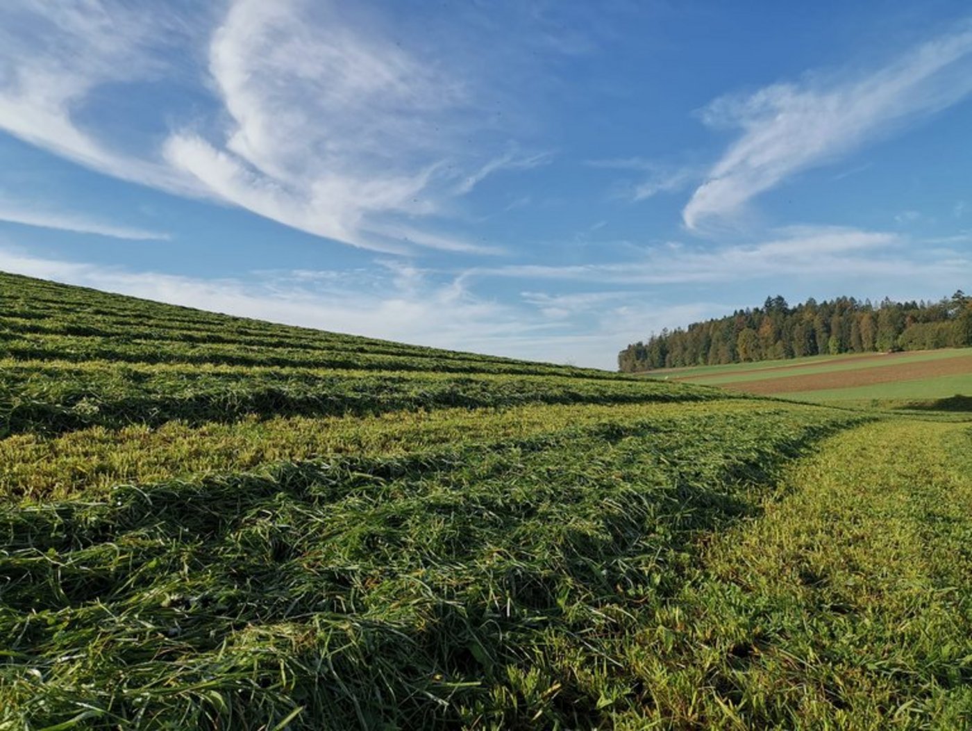 Hochdruckgebiete über der Zentralschweiz und föhnähnliche Effekte brachten schönes Wetter und Tagesmaximaltemperaturen von 26°C (Delémont) in diesem Oktober. (Bild lid/mg)