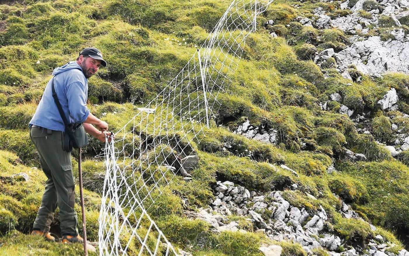 Rund sechs Kilometer Herdenschutz- und Weidezaunnetze stellte Saro Keinath diesen Sommer auf den Alpweiden.	