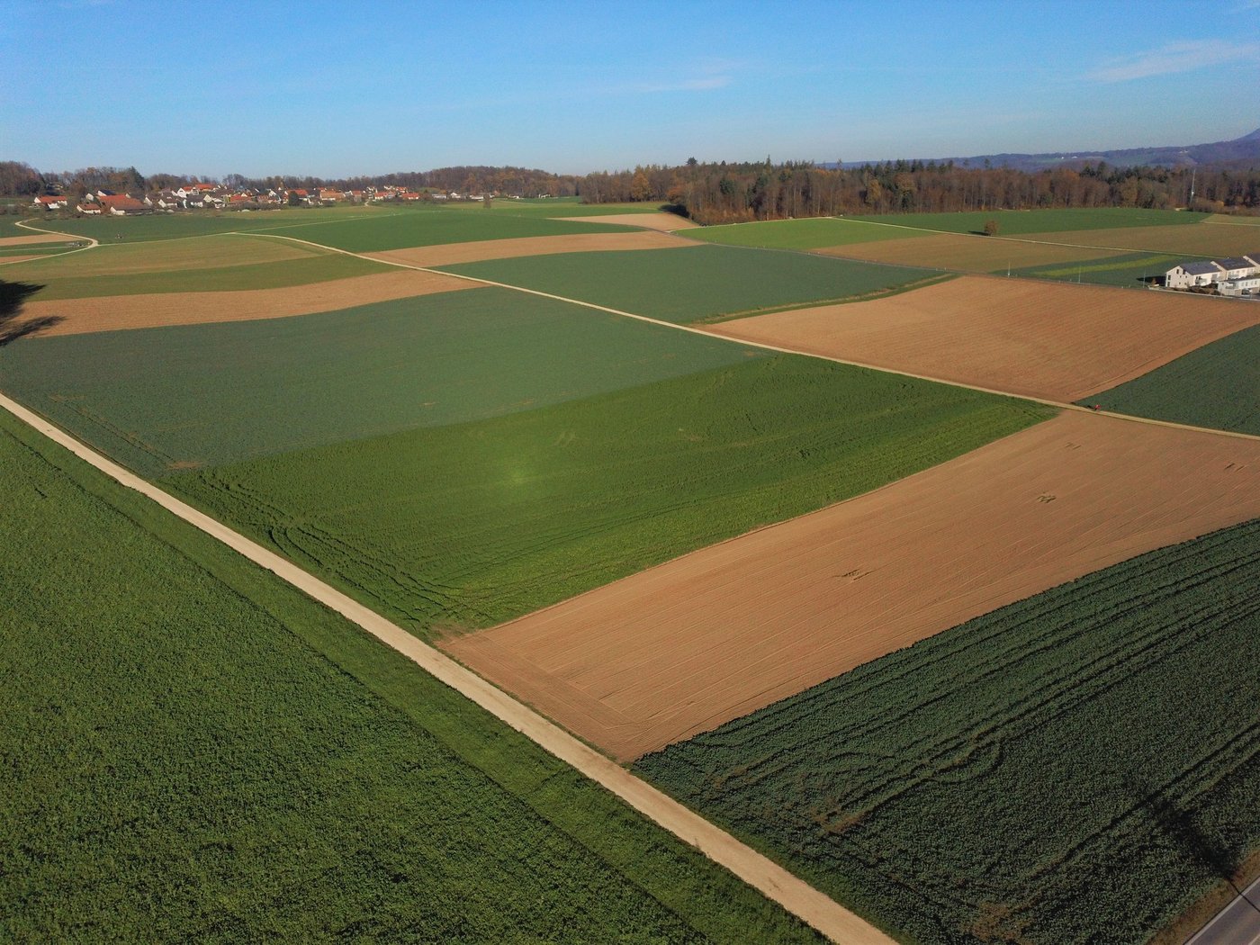 In den Kantonen Luzern und Aargau – auf dem Bild bei Habsburg – wird das meiste Land nach ÖLN-Richtlinien bewirtschaftet. Auch im kommenden Jahr gibt es keinen Biorutsch. (Bild Gian Wolleb)