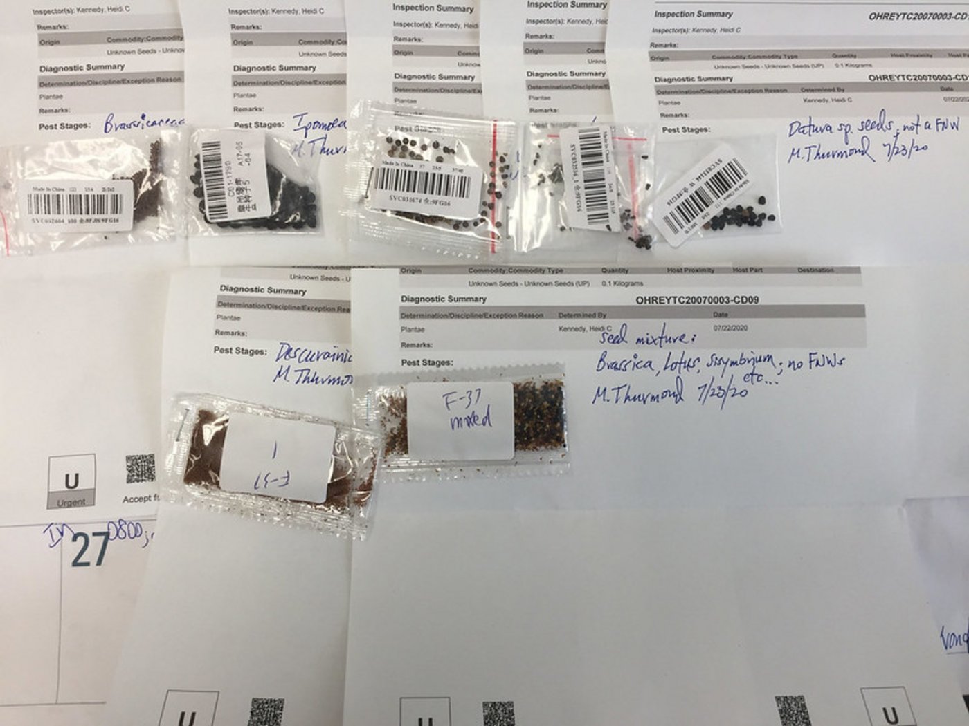 Die Päckchen enthalten verschiedene Pflanzensamen, die man derzeit zu identifizieren versucht. (Bild USDA)