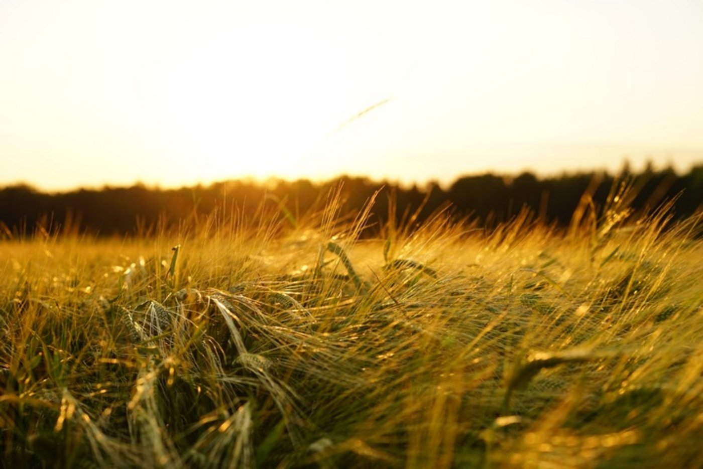 Der Sommerbeginn 2018 wird von Temperaturschwankungen begleitet. (Bild zVg)