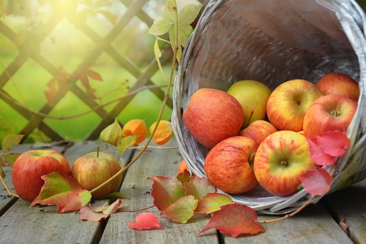 137 180 Tonnen Mostäpfel gingen diese Saison in die Mostereien. (Bild pixabay)