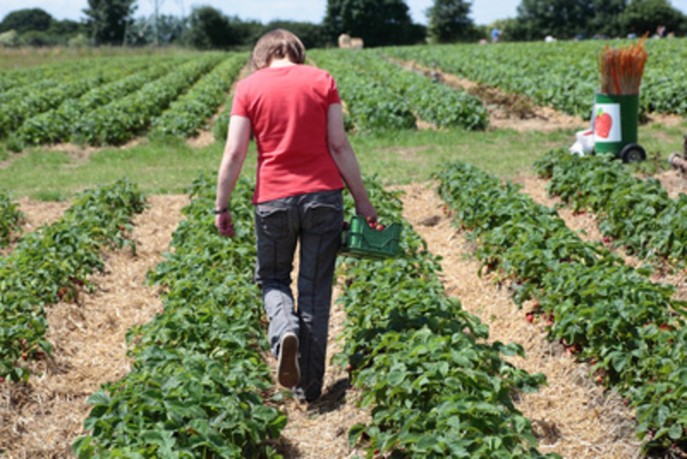 Am 8. März ist Weltfrauentag: Auch Frauen, die in der Landwirtschaft arbeiten, müssen weiter für ihre Rechte kämpfen. (Symbolbild Erwin Lorenzen/pixelio.de)