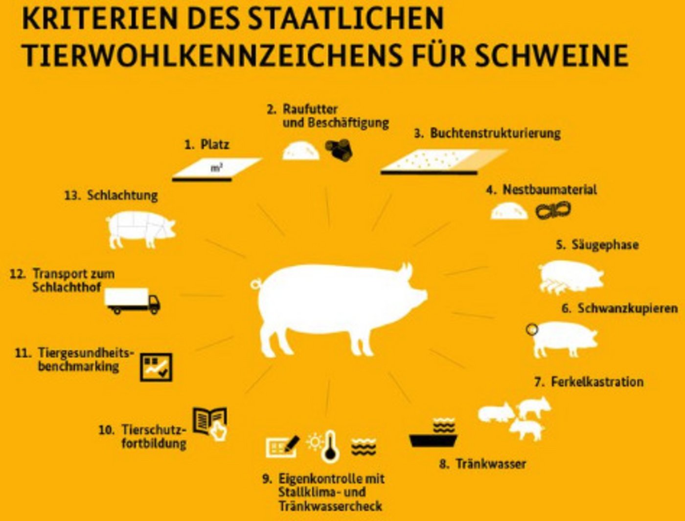 Verschiedene Kriterien werden für das Tierwohl-Kennzeichen verwendet. (Bild: Bmel) 