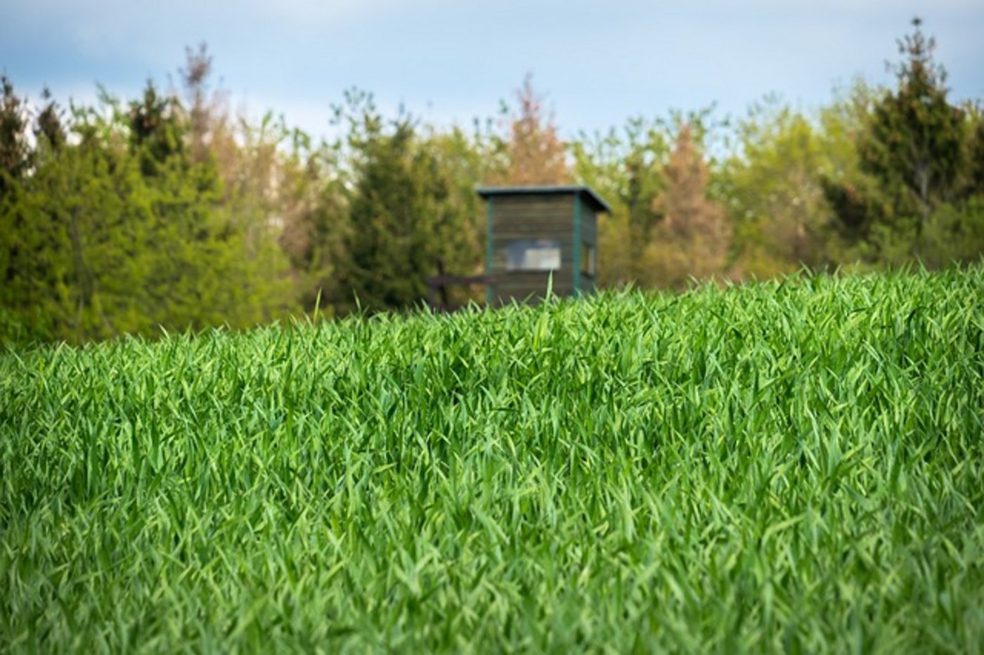 Aus derzeit noch nicht geklärten Gründen stürzte der Jäger kurz vor dem Eintreffen beim Jagdposten rund 200 Meter einen steilen Abhang hinunter. (Symbolbild Pixabay)