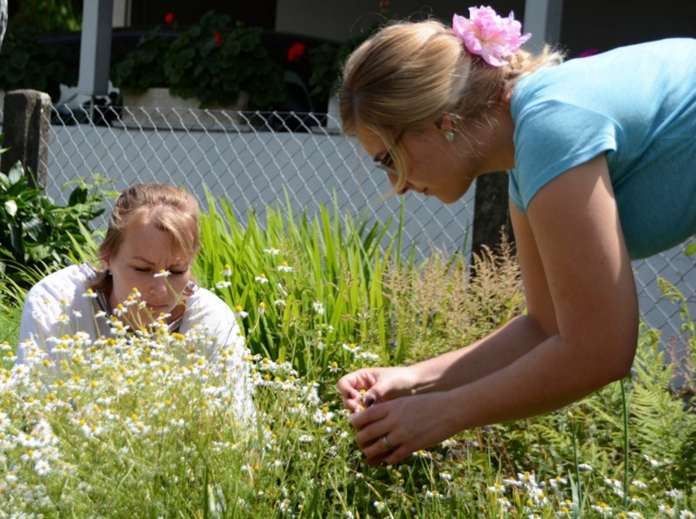  Zukünftige Bäuerinnen: Absolventinnen der Bäuerinnenschule im Modul Gartenbau am BBZN Sursee. (Andrea Gysin)
