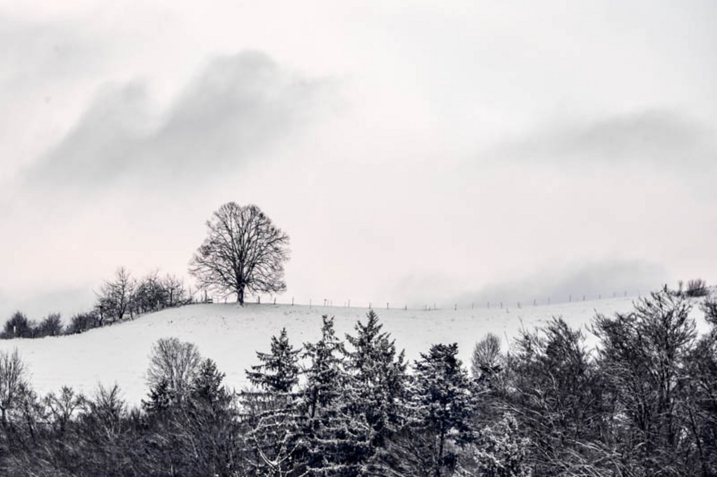 Bis in tiefe Lagen ist Schnee gefallen. (Bild: BauZ)