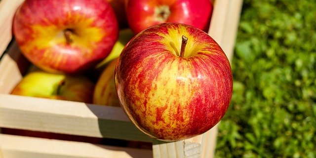 Bald gibt es IP-Suisse-Äpfel von Fenaco. (Symbolbild pixabay)