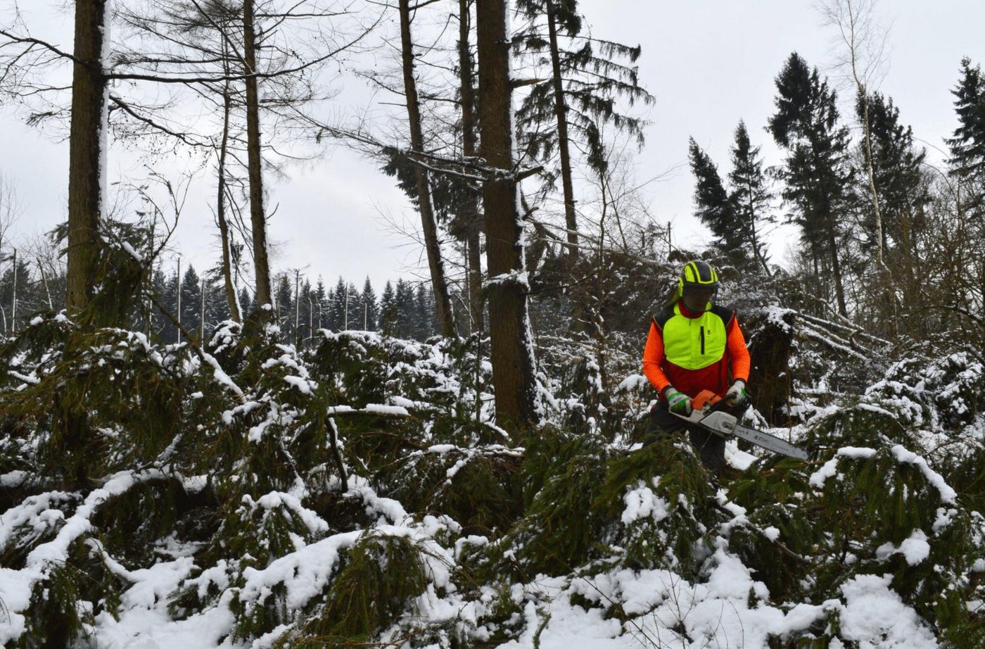 1,4 Millionen Kubikmeter Holz auf rund 5.000 Hektar Waldfläche sind in Nordrhein-Westfahlen zu Schaden gekommen. (Bild Wald und Holz NRW)
