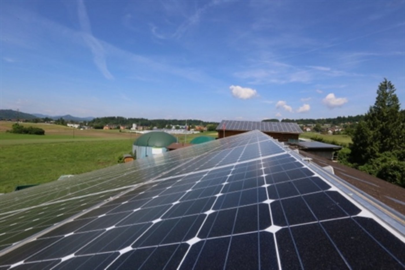 Das Potenzial für erneuerbare Energie aus der Landwirtschaft wäre gross, allerdings bestehen grosse Hürden bei den Rahmenbedingungen. (Bild AgroCleanTech) 
