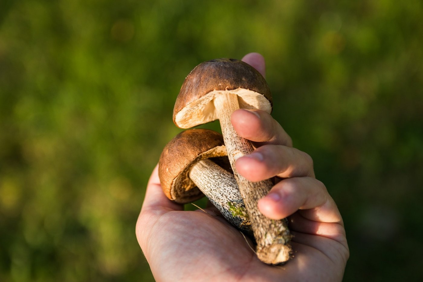 (Symbolbild Pixabay)