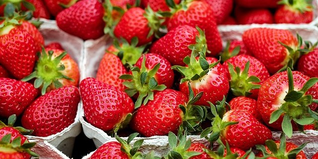 "Diese Beeren ess ich nicht", die Konsumenten wünschen sich schöne Beeren, wie Marc Wermelinger von Swisscofel erklärt. (Symbolbild Pixaby)
