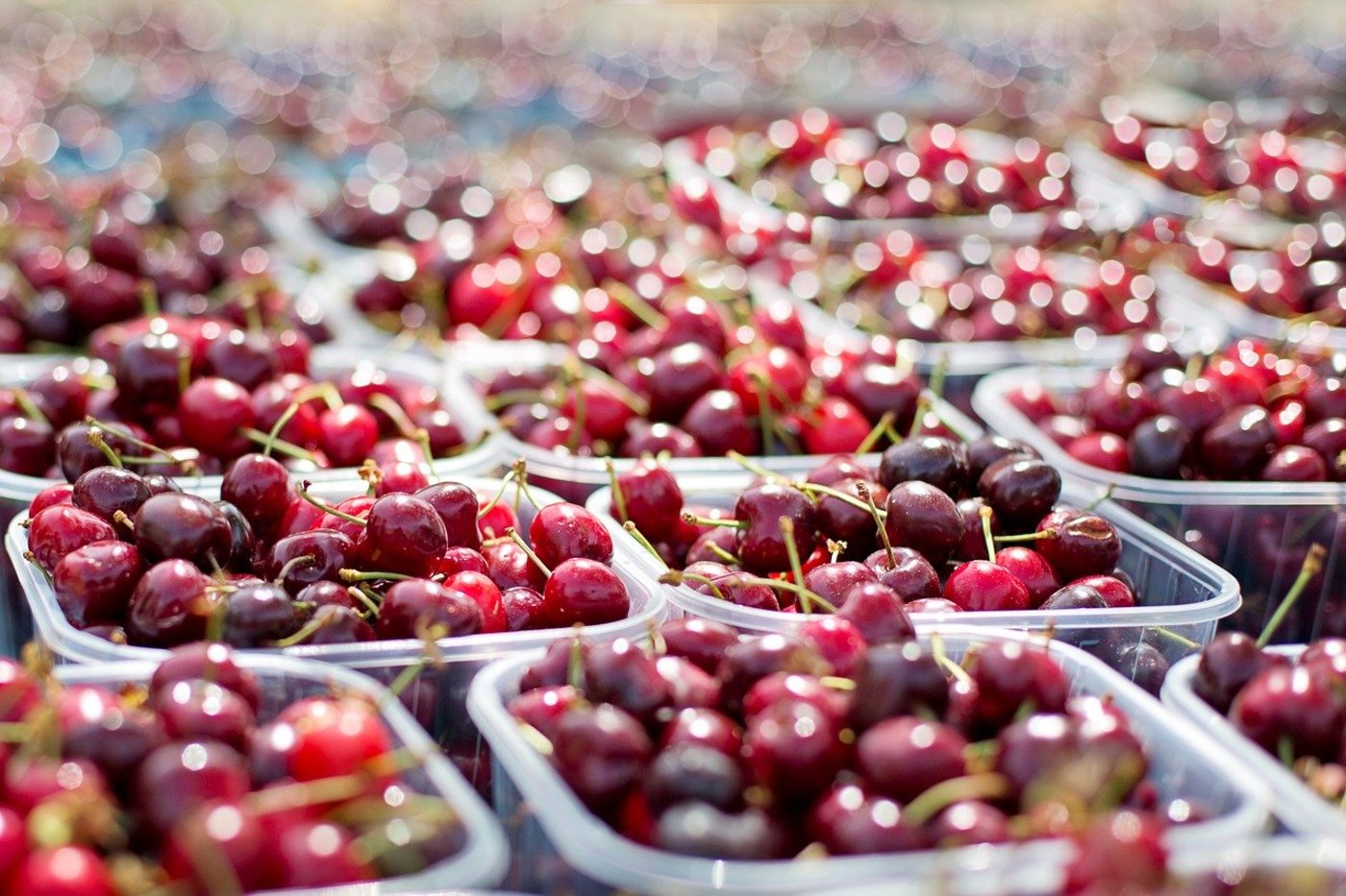 Landwirtschaft ist aufwändig und nicht nur zur Erntezeit sind die Arbeitstage lang. (Bild Pixabay)