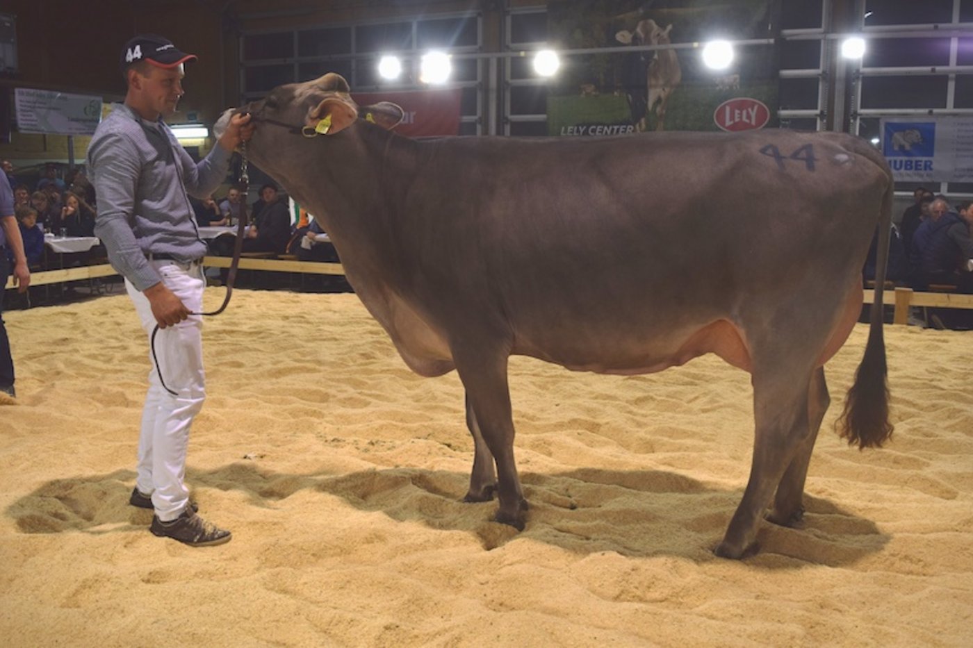 Josy holte den Titel Juniorchampion.