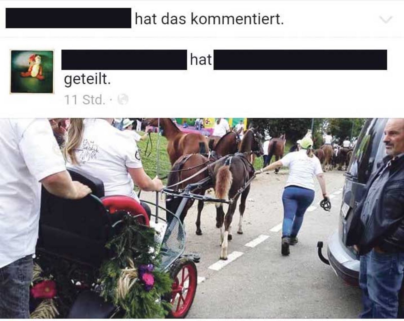 Diese Bilder eines Fohlengespanns ernten im Internet zahllose negative Reaktionen. Verboten ist das Fahren der Fohlen nicht. (Bild Screenshot)