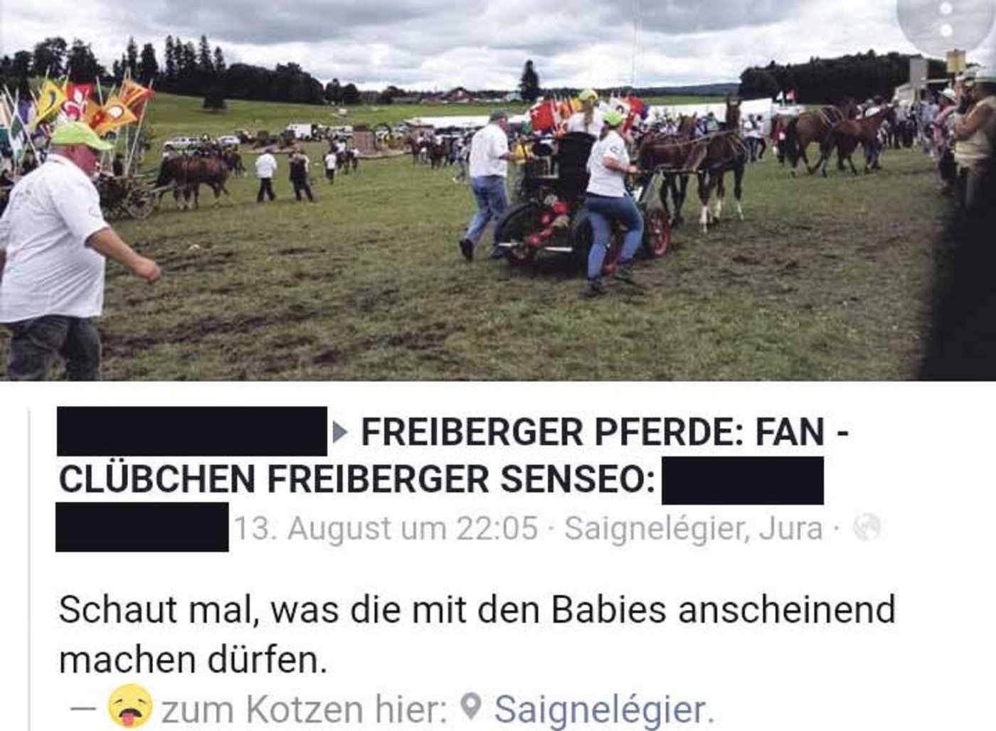 Diese Bilder eines Fohlengespanns ernten im Internet zahllose negative Reaktionen. Verboten ist das Fahren der Fohlen nicht. (Bild Screenshot)