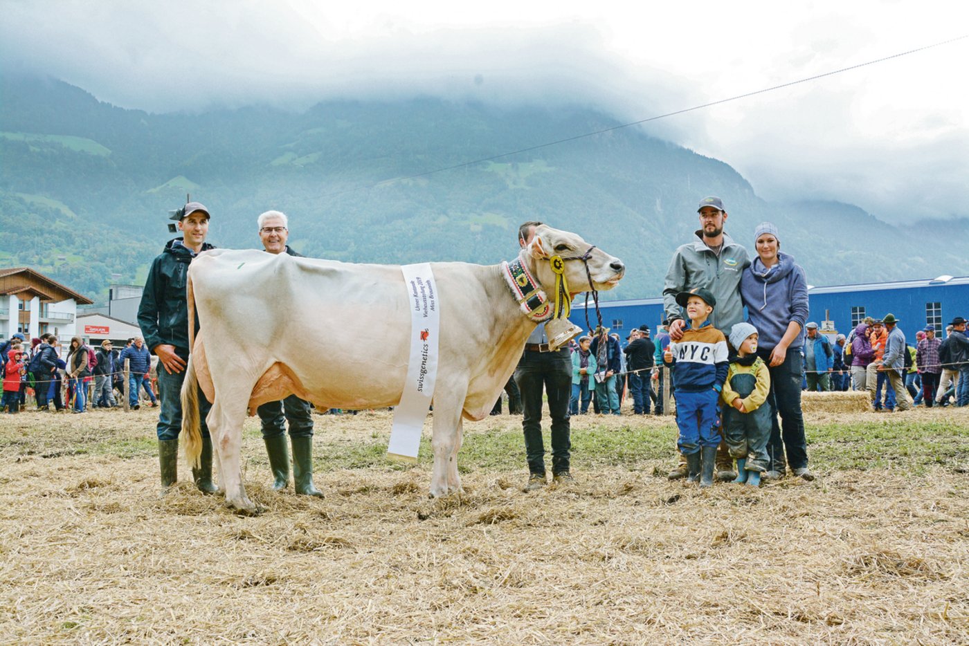 Manuel Arnolds Jongleur-Tochter Evolet gewann bei den Brown Swiss. Sie hat schon viel geleistet und ist dabei in bester Form geblieben.(Bilder Andrea Gysin)