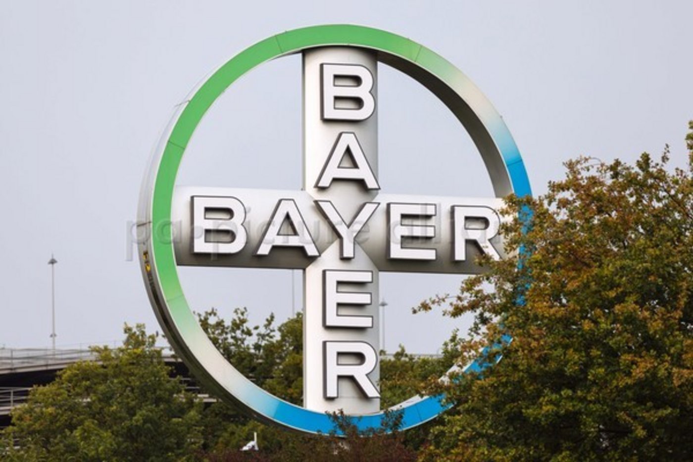 Bayer will offenbar Gemüsesaatgutsparte für Monsanto-Deal verkaufen. (Bild picture alliance/Geisler-Fotopress)