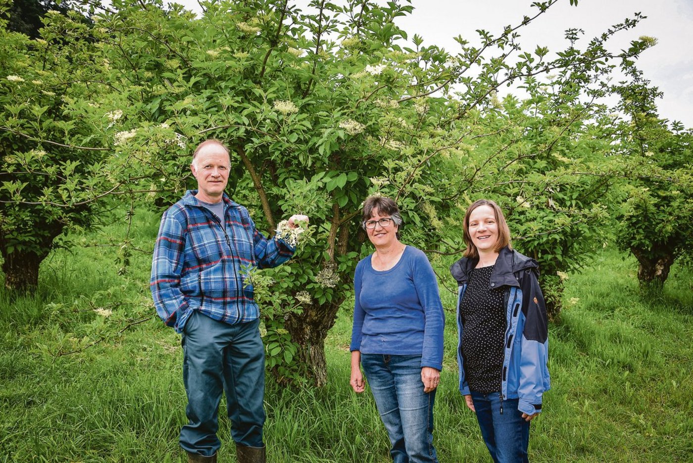 Sie haben sich auf ihrem Betrieb ein Standbein mit Holunder aufgebaut (v. l. n. r.): Peter, Katharina und Katya Grundbacher.(Bild Barbara Heiniger)