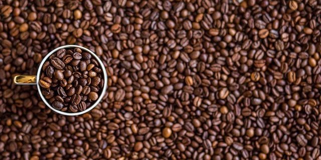 Die Pflichtlager von Kaffee sind in der Schweiz vielleicht bald nicht mehr Pflicht. (Bild pixabay)