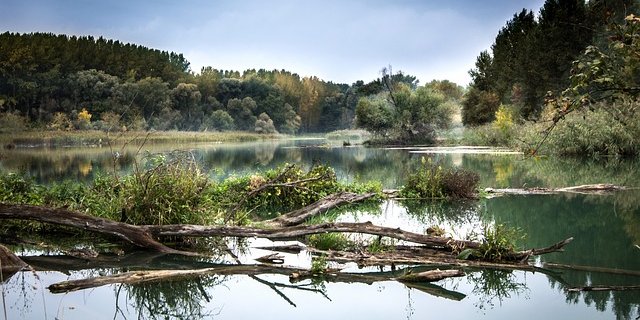 Vor allem die Auenlandschaften entlang der Flüsse sind schützenswert. (Bild Pixabay)