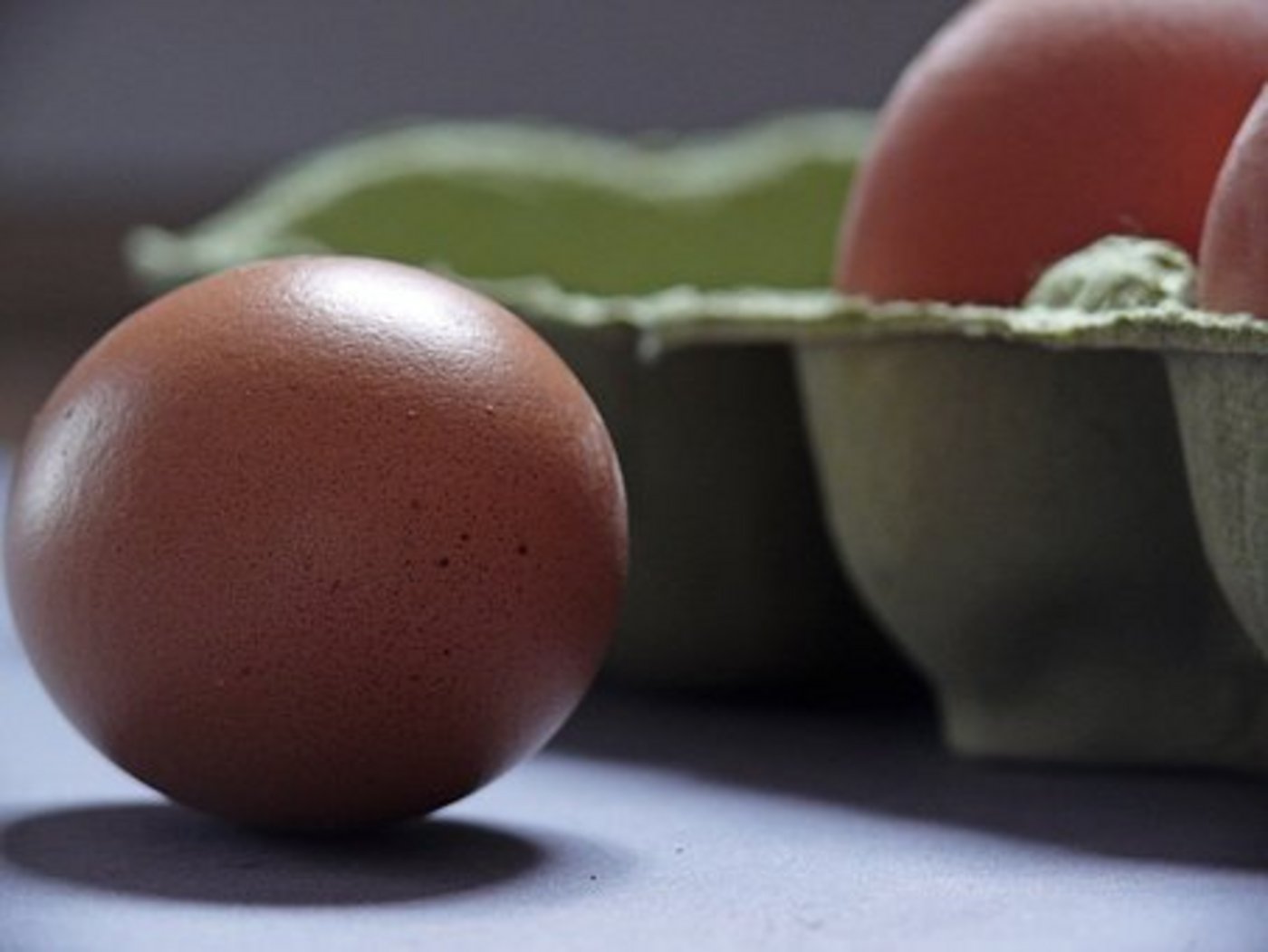 20 Tonnen mit dem Insektizid Fipronil belastete Eier sind nach Dänemark geliefert worden. (Symbolbild Pixabay)