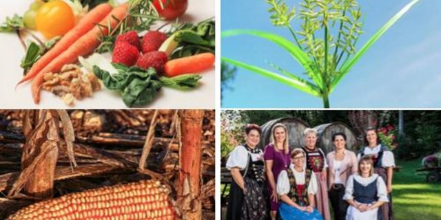 (Bildcollage asa - Bilder pixabay / z.V.g / SRF/Ueli Christoffel)