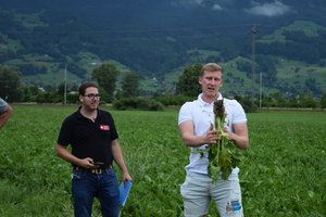 Ein Nachteil des Setzens ist, dass die Rübe keine Pfahlwurzel bildet, was den Ertrag schmälert, erklärt Luzi Schneider (rechts). An seiner Seite Rafael Seeh von der Schweizer Zucker AG. (Bilder Stefanie Giger)