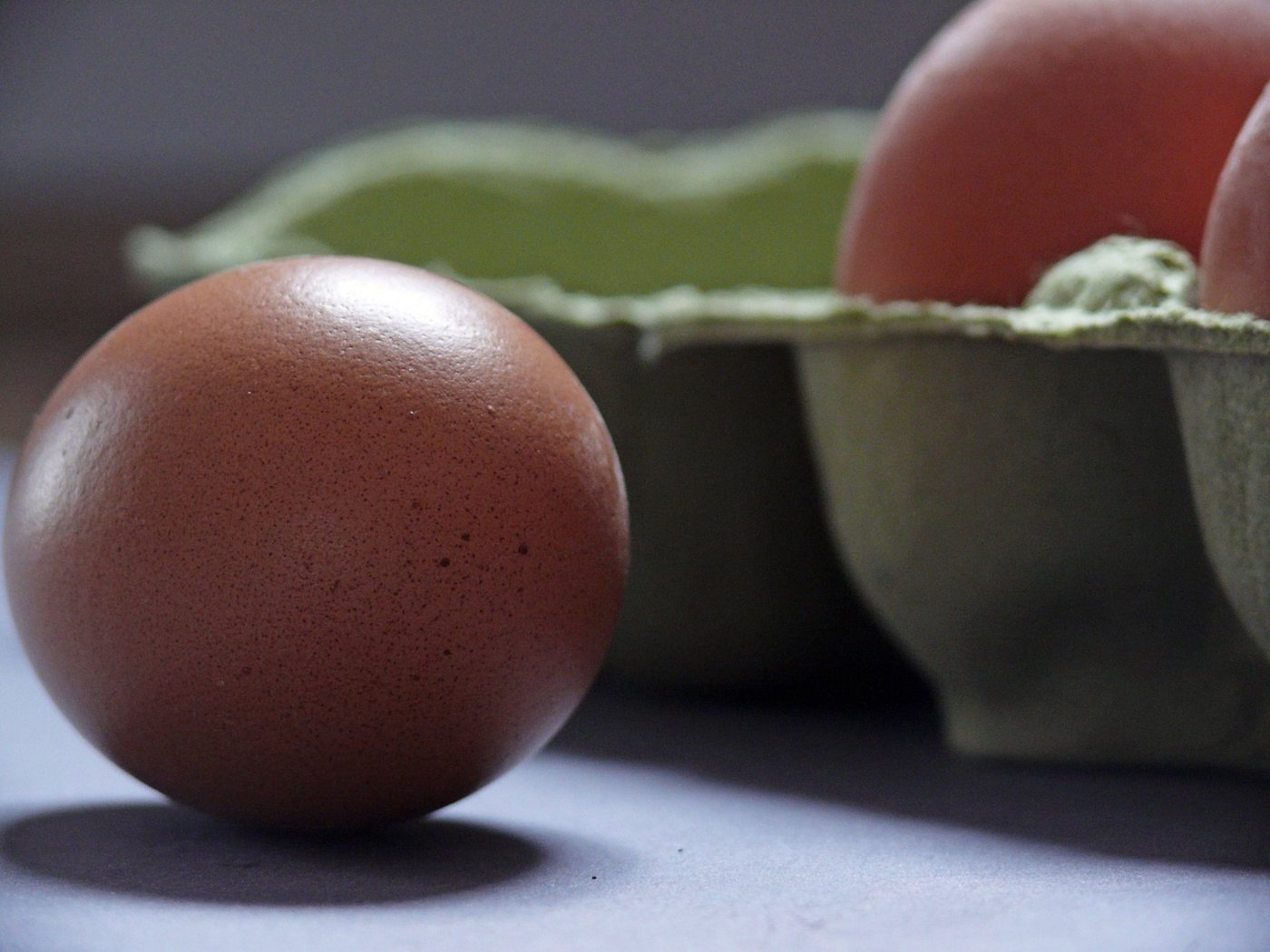 Die mit Fipronil belasteten Eier sind gemäss dem Bundesamt für Lebensmittelsicherheit und Veterinärwesen mit Bezug auf die gefundenen Werte für Konsumentinnen und Konsumenten nicht gesundheitsgefährdend. (Bild Pixabay)