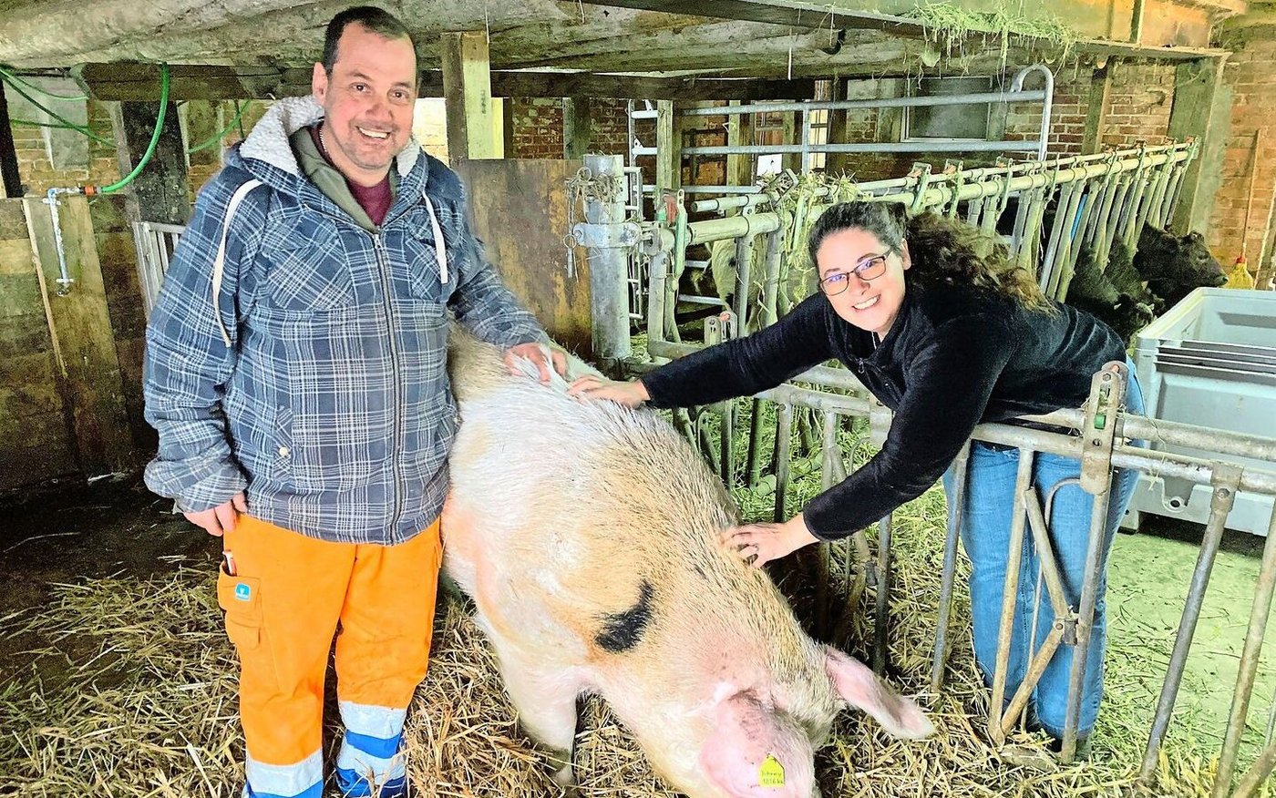 Andreas Hirschi und Esther Hürlimann kauften Olma-Eber Johnny.  Nach einem Unfall mussten sie ihn einschläfern lassen.