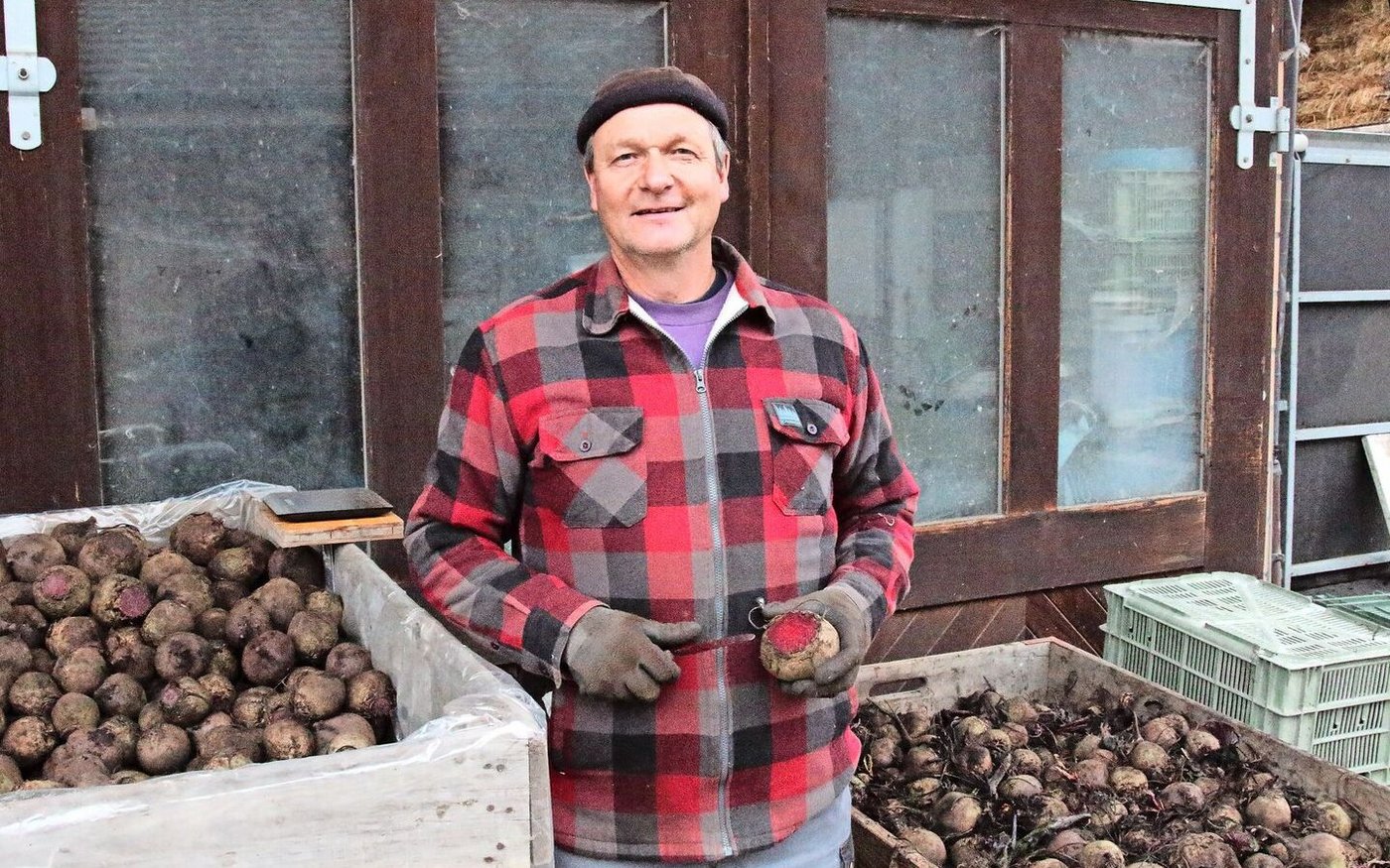 Gerhard Fawer lagert die Randen nach der Ernte kurzzeitig selbst. Bis Ende Januar rüstet er  die Knollen regelmässig. Erst danach liefert er sie an seine Abnehmer.  