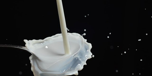 Ob die A2-Milch wirklich gesünder ist, ist umstritten. (Bild pixabay)