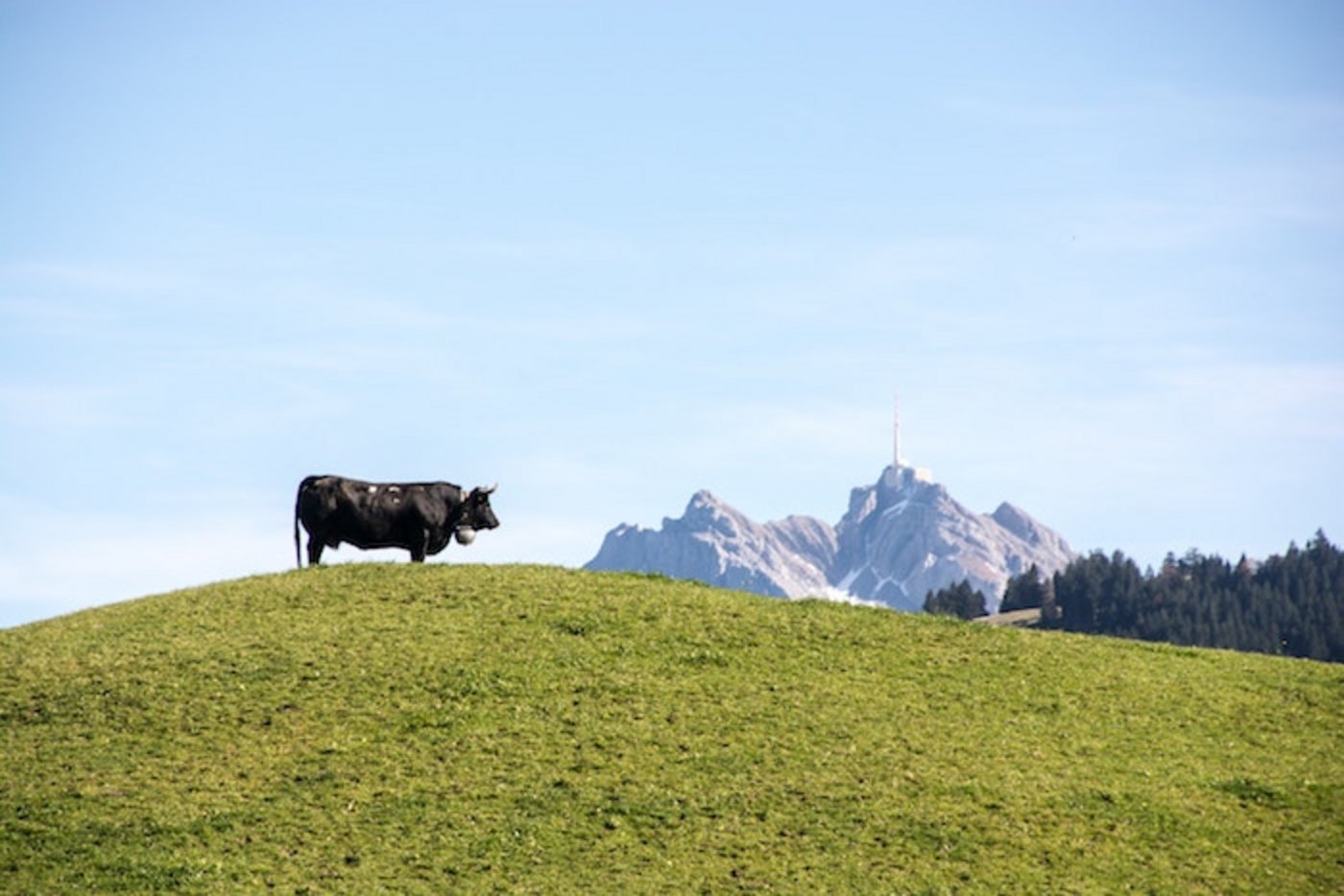 Der Wandel der Landwirtschaft beschäftigt die Politik. Die Vernehmlassung ist zunkunftsweisend für die  AP 22+. (Bild Ivan Louis)