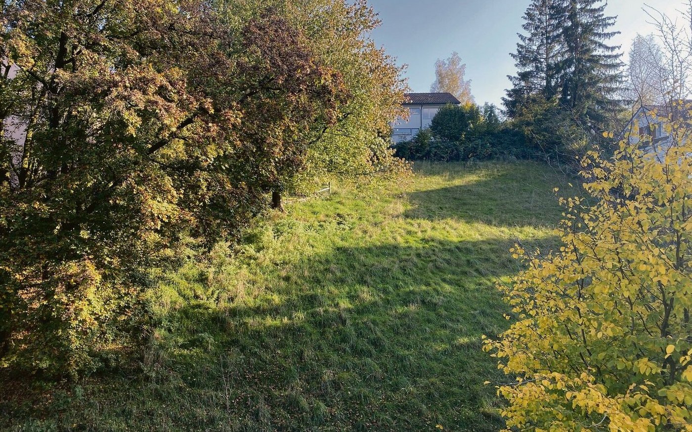 Bereits um halb fünf Uhr abends ziehen sich die Schatten der Bäume und Häuser lang über die Weide: Der Sonnenstand und die Tageslänge sind Mitte Oktober deutlich anders als im Hochsommer. Das beeinflusst das Temperaturverhalten massgeblich.