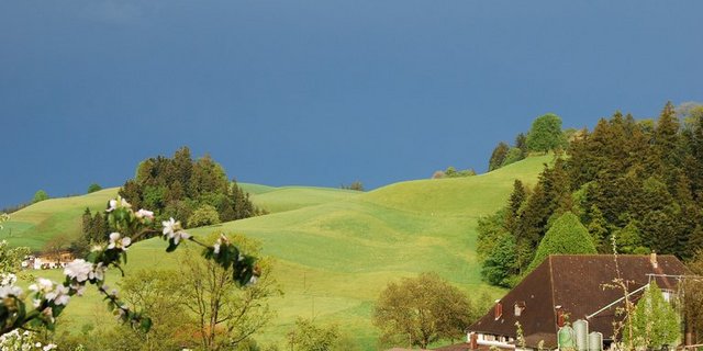 Die VKMB befürwortet die Bestrebungen, den Bauernbetrieben eine Weiterentwicklung im Sinne einer ressourcenschonenden Landwirtschaft zu geben. (Bild Stefanie Thomann/ landwirtschaft.ch)