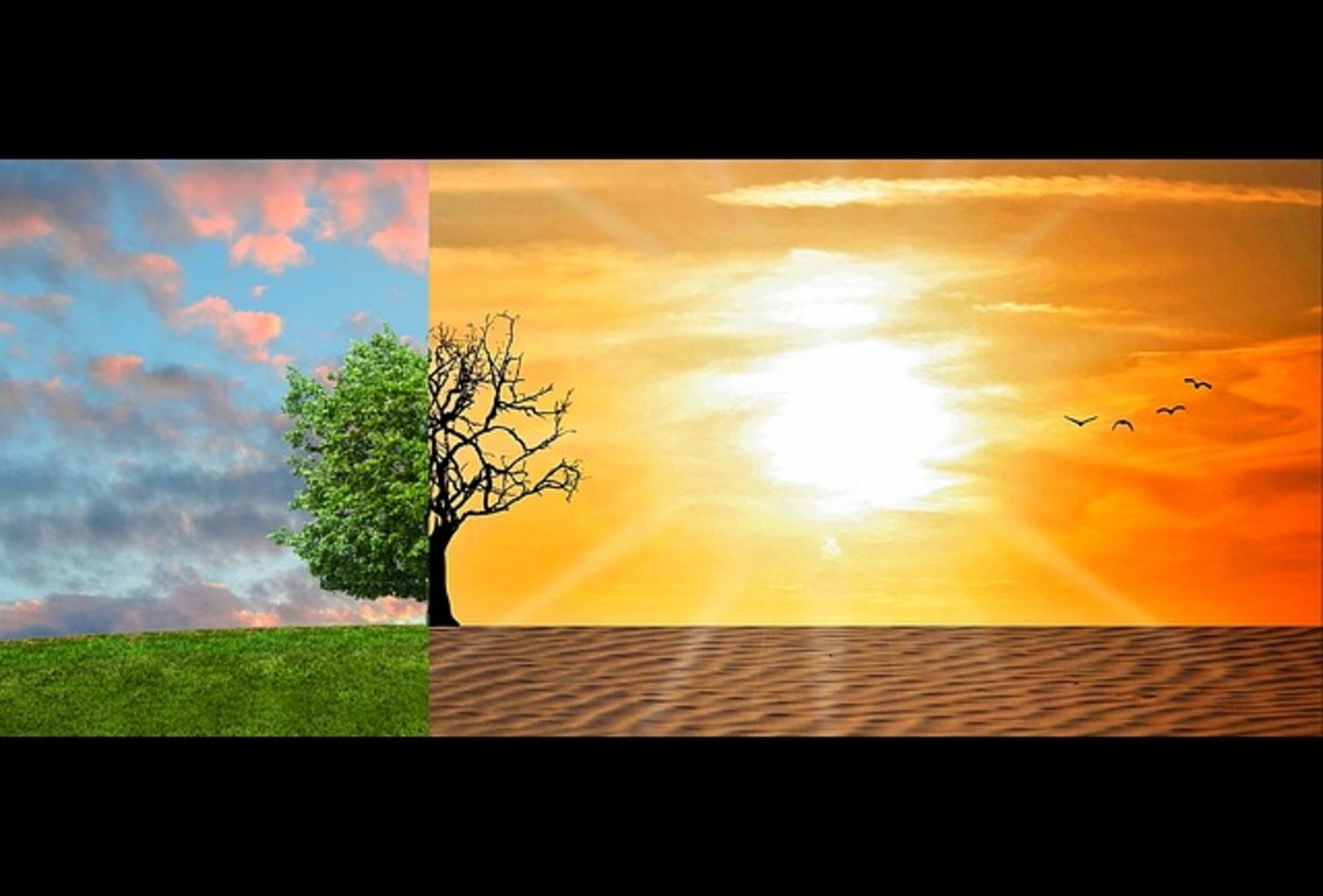 Tiefgreifende Änderungen sind nötig, was Erzeugung und Verbrauch von Energie und Lebensmitteln angeht. (Bild Pixabay)