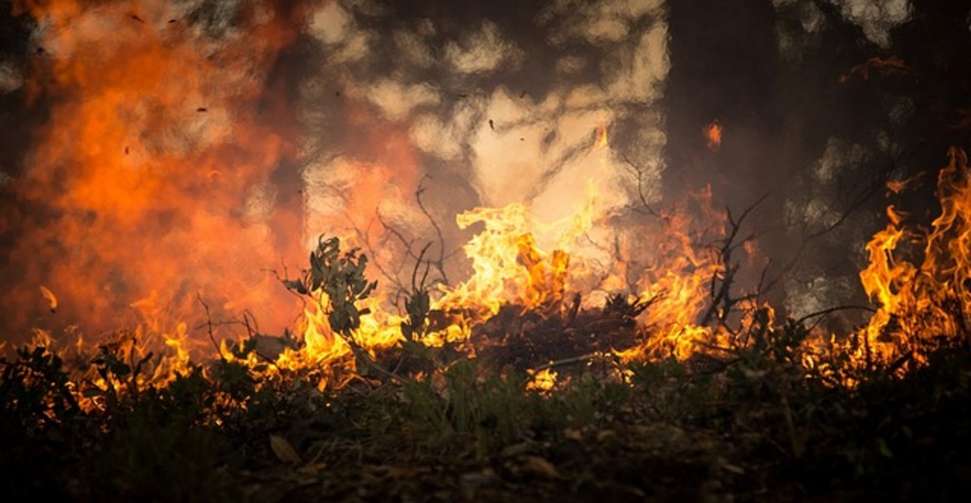 Die Hitzewelle sorgt vielerorts für Waldbrände. (Symbolbild Pixabay)