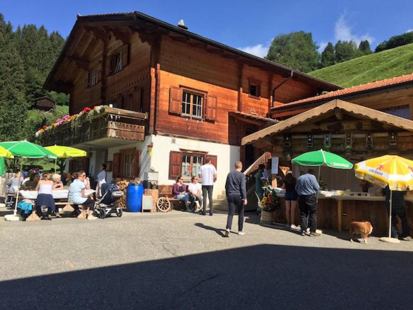 Der Hof der Familie Jäger steht heute für Besucherinnen und Besucher des 1. August-Brunches offen. (Bild Peter Fankhauser)